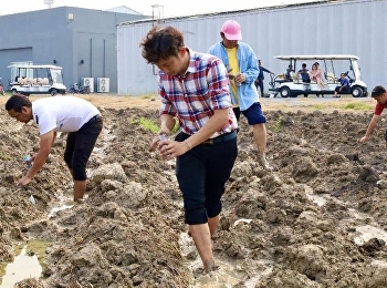 จุดเช็คอินใหม่ต้องมา !!
ทุ่งดอกทานตะวันแลนด์มาร์คแห่งใหม่ภายในมหาวิทยาลัยราชภัฏสวนสุนันทา
วิทยาเขตนครปฐม เร็วๆนี้