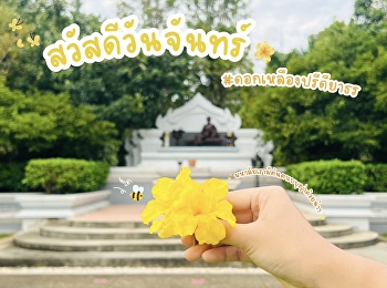 Happy Monday from the Golden Trumpet
Trees at Suan Sunandha Rajabhat
University, Nakhon Pathom Campus!