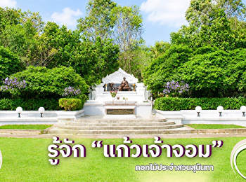 แก้วเจ้าจอม ดอกไม้แห่งสวนสุนันทา